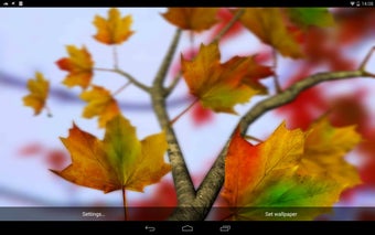 Imagen 1 para Autumn Leaves in HD Gyro …