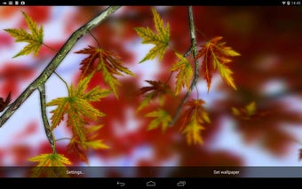Imagen 0 para Autumn Leaves in HD Gyro …