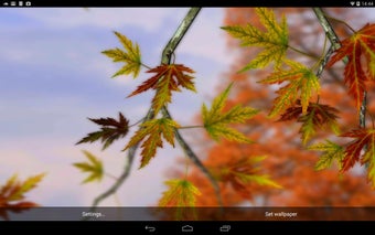 Imagen 2 para Autumn Leaves in HD Gyro …