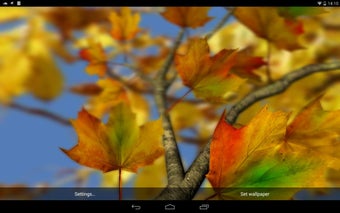 Imagen 3 para Autumn Leaves in HD Gyro …