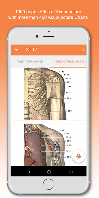 Imagen 1 para Shen-Acupuncture