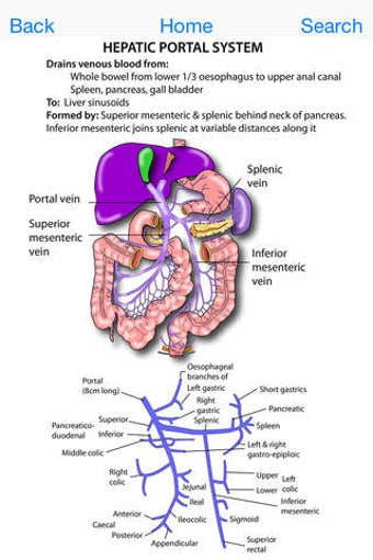 Image 0 for Instant Anatomy Flash Car…