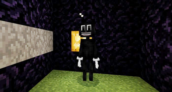 Imagen 1 para Mod Cartoon Cat for Minec…