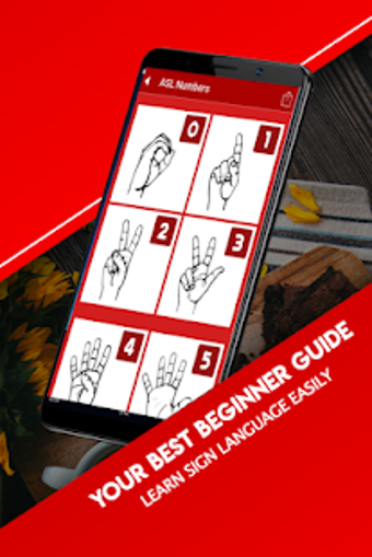 Image 2 for Sign Language For Beginne…