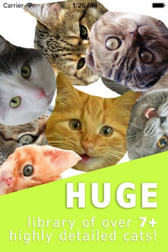 Image 0 for Cat Spammer