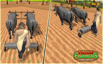 Image 2 for Village Plow Farming Expe…