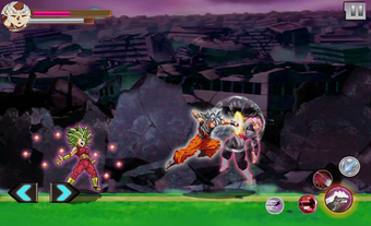 Image 0 for Dragon Ball : Z Super Gok…