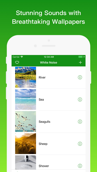 Image 0 for White Noise + (Best for S…