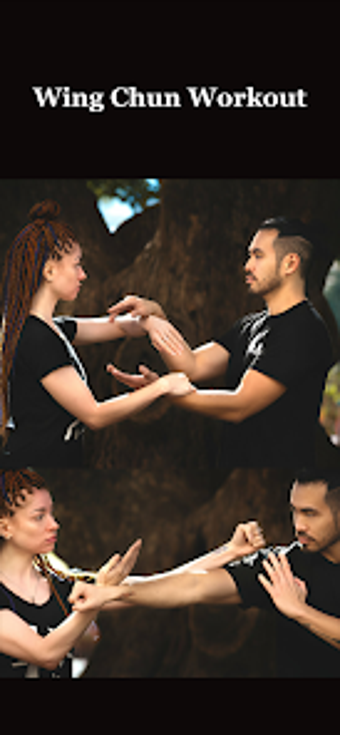 Image 0 for Wing Chun Trainer - At Ho…
