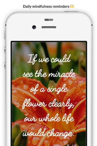 Image 0 for The Now - Mindfulness Tri…