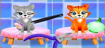 Image 1 for My kitty cat & fluffy pet…