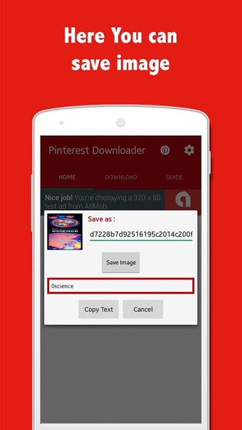 Imagen 0 para Pinsave - Image Downloade…