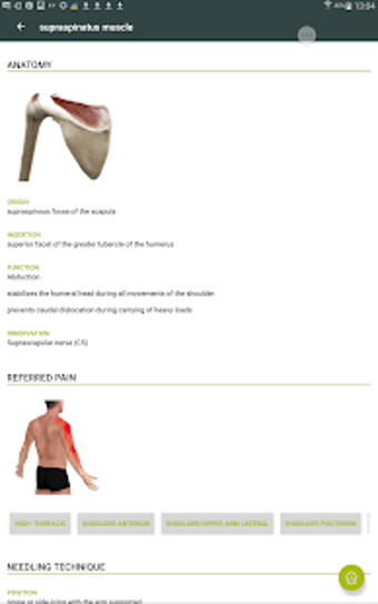 Image 1 for Dry Needling Guide
