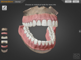 Image 0 for BoneBox - Dental Pro