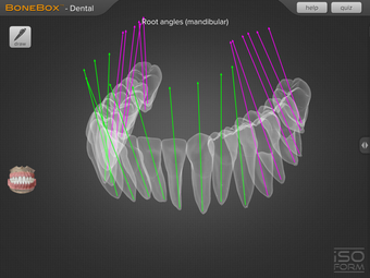 Image 1 for BoneBox - Dental Pro