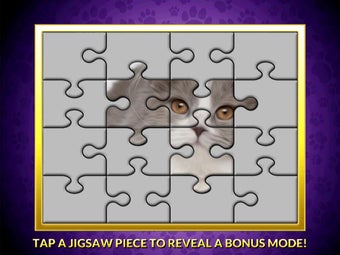 Imagen 1 para Casino Cash Cats Kitty Sl…