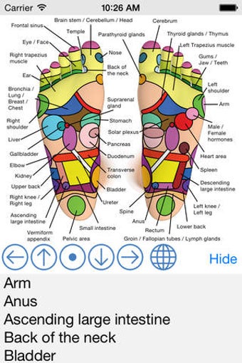 Imagen 0 para Foot Reflexology Chart