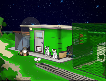 Image 0 for A Cat's Night
