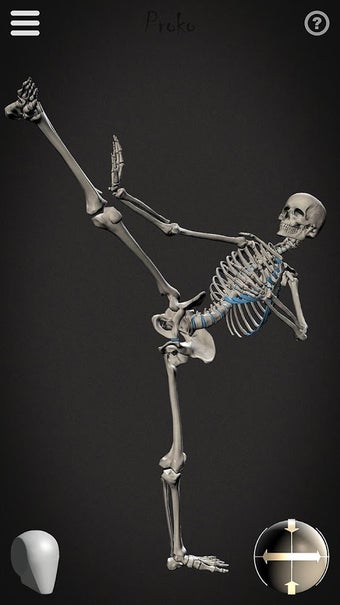 Image 2 for Skelly: Poseable Anatomy …