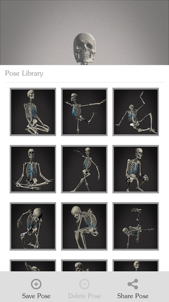 Image 1 for Skelly: Poseable Anatomy …
