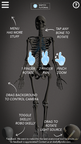 Image 0 for Skelly: Poseable Anatomy …