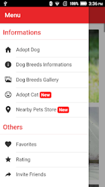 Image 1 for Pets Adoption: Adopt Dog …
