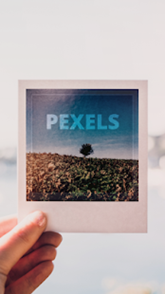 Image 0 for Pexels