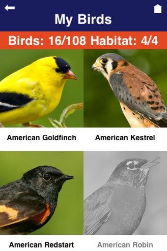 Image 0 for Wild About Birds!
