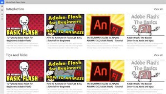 Image 0 for Adobe Flash Player :UserG…