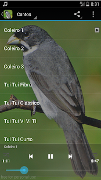 Imagen 1 para Canto de Coleiro