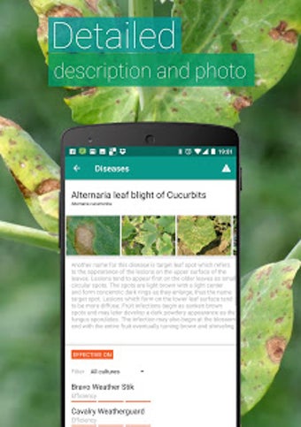 Image 2 for Agrobase - weed, disease,…