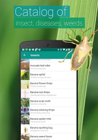 Image 3 for Agrobase - weed, disease,…