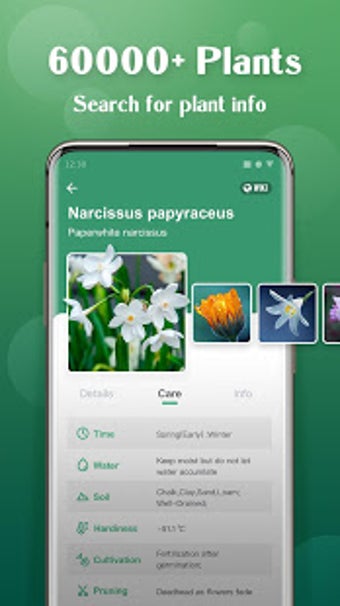 Imagen 0 para Plant Lens - Plant & Flow…
