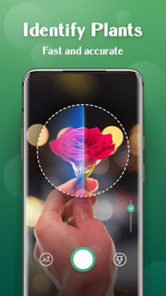 Imagen 1 para Plant Lens - Plant & Flow…