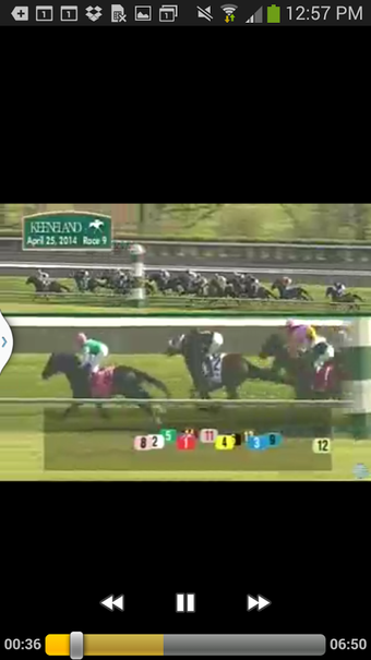 Imagen 4 para Horse Races Now