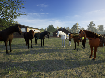 Image 0 for That Horse Game - Riding …