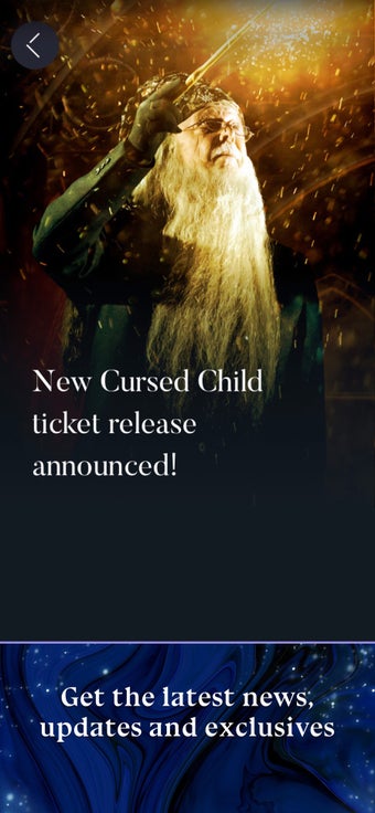Image 2 for WIZARDING WORLD