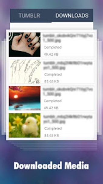 Image 1 for Downloader for Tumblr
