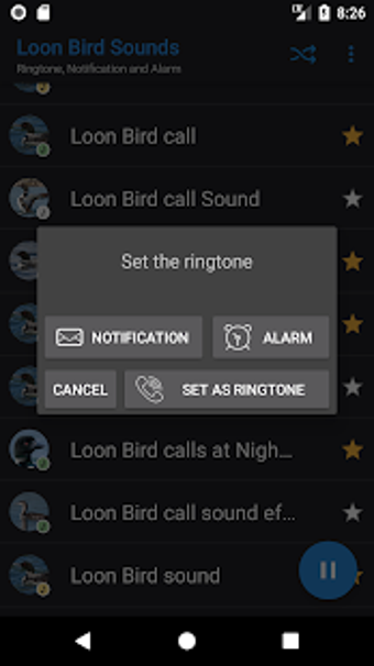 Image 1 for Appp.io - Loon Bird Sound…