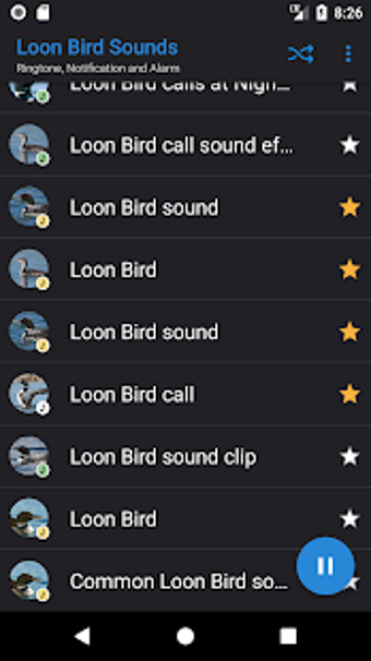 Image 2 for Appp.io - Loon Bird Sound…