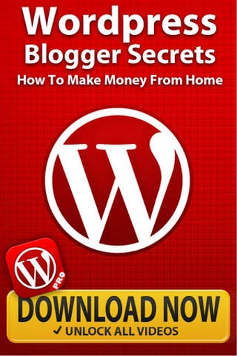 Image 0 for Wordpress Blogger Secrets…