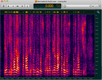 Imagen 0 para ocenaudio