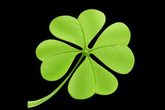 Image 0 for Find The Lucky Clover