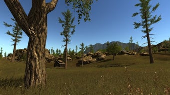 Image 0 for Rust