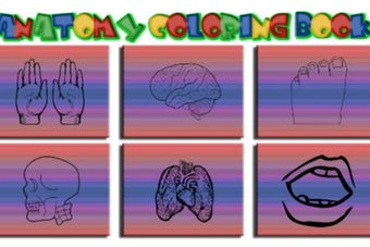 Image 1 for Anatomy Coloring Book