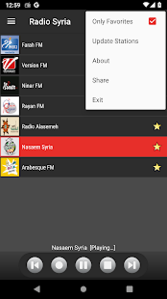 Imagen 1 para RADIO SYRIA