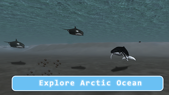 Image 0 for Killer Whale Orca Simulat…