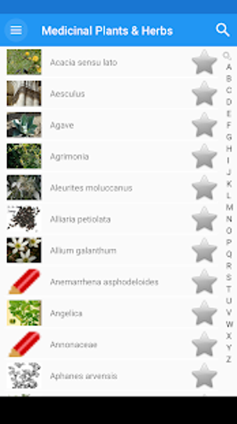Image 3 for Medicinal Plants & Herbs:…