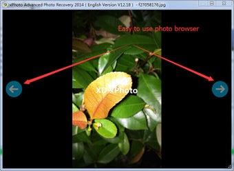 Image 1 for xPhoto Advanced Photo Rec…