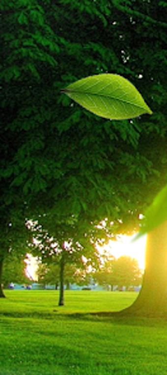 Image 0 for CellFrenzy